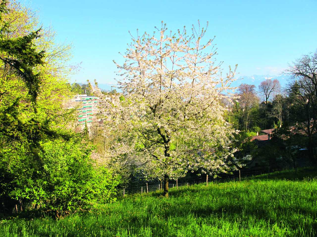 Coulée verte au coeur de la ville